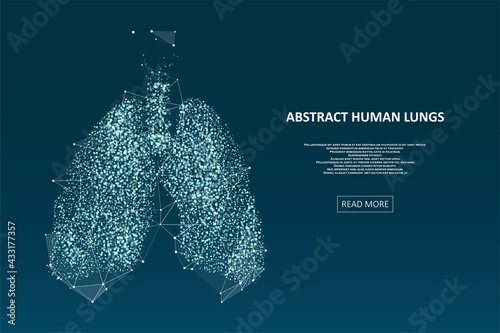 Abstract human lungs