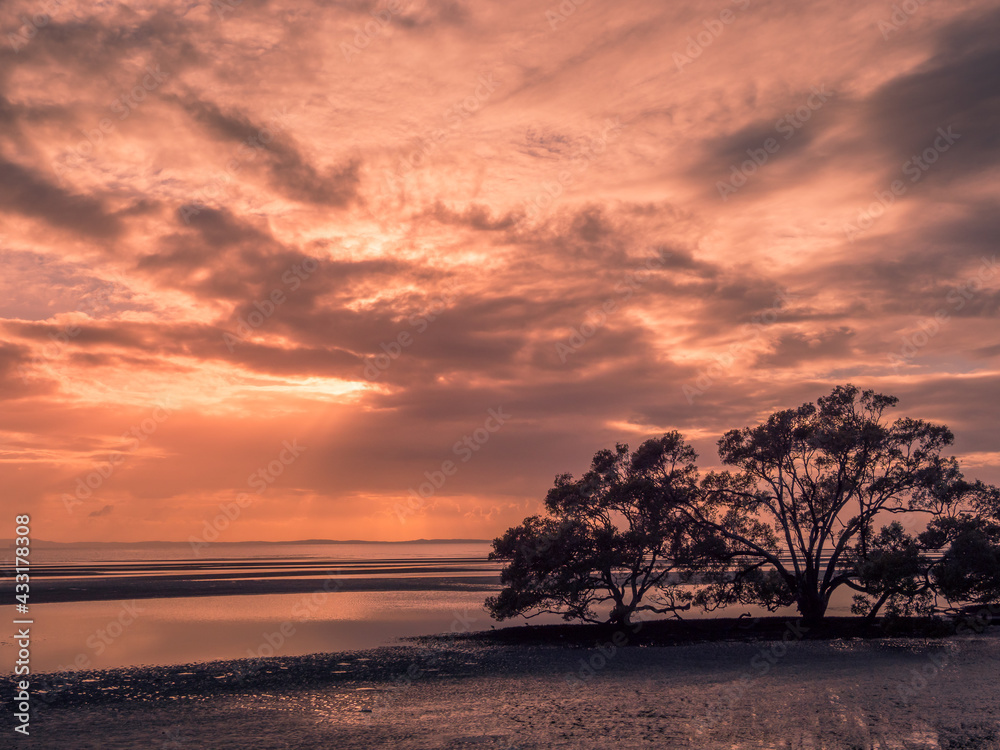 Beautiful Seaside Sunrise with Cloud Reflections and Mangroves