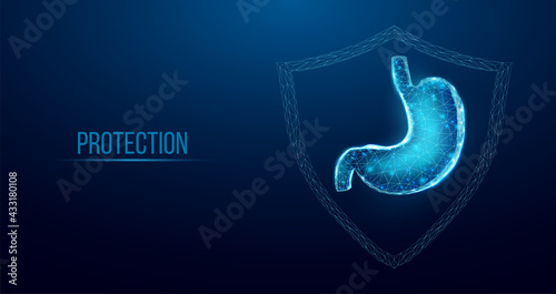 Human stomach protection. Wireframe low poly style. Concept for medical, pharmacology treatment of the digestive system.  Abstract modern 3d vector illustration on dark blue background.