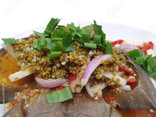 Spicy Horseshoe Crab Egg Salad (Yum Kai Mang Da). Spicy steam horseshoe crab Salad, favorite delicious hot and spicy seafood menu in Thailand