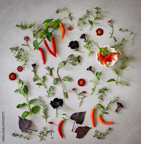 Zutaten aus dem Garten, Chili, Blüten, Kräuter als Flatlay  photo