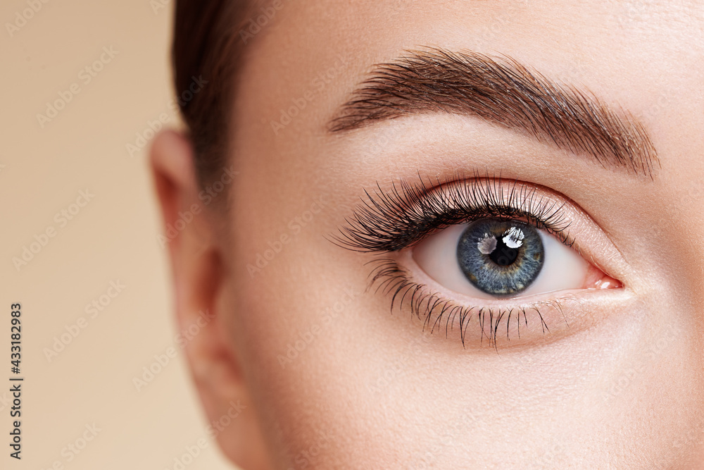 Obraz premium Female Eye with Extreme Long False Eyelashes. Eyelash Extensions. Makeup, Cosmetics, Beauty. Close up, Macro