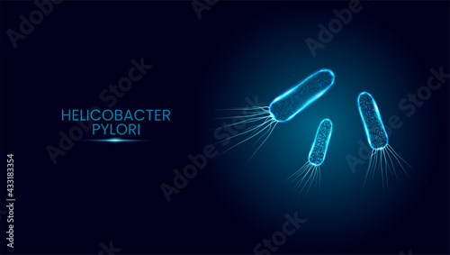 Helicobacter pylori. Wireframe low poly style. Glowing polygonal bacteria cells isolated on dark blue background.  Vector illustration.