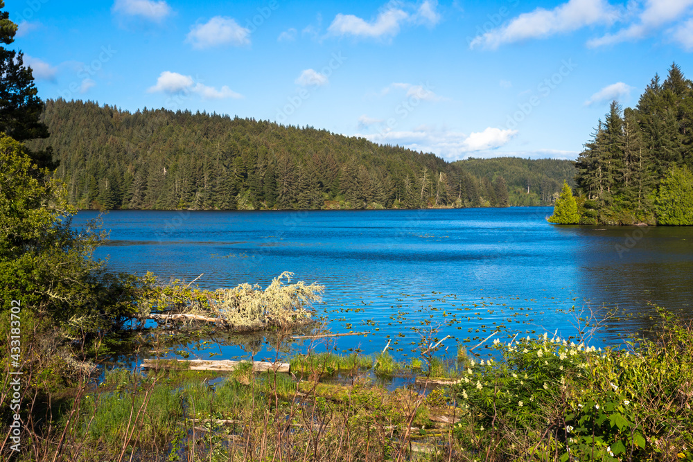 Tahkenitch Lake in Oregon Pacific coast in springtime