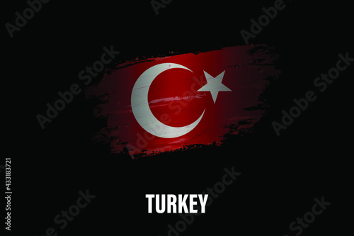Turkey Flag Made of Sparkle Brush Paint Vector

