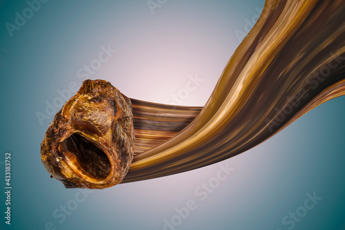 Natural, healthy treats for pets. Dried beef larynx on a bright turquoise background. photo