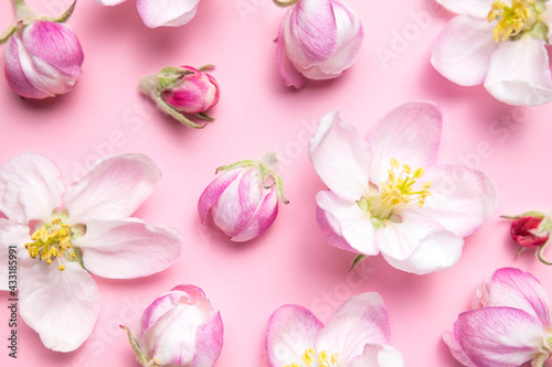 Wallpaper Mural Spring background. Beautiful delicate fresh spring flowers and buds of apple tree on pink background flat lay top view. Springtime nature concept. Bloom, inflorescence, flowering. Flower pattern Torontodigital.ca