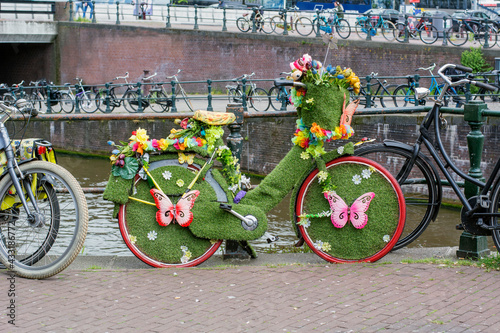 Photography One beautiful decorated bike with green grass and flowers