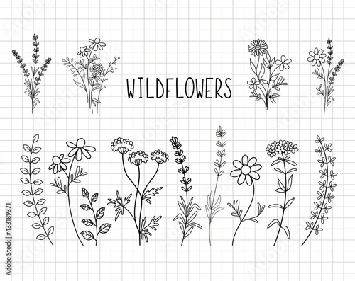 Wildflowers simple design bundle. Minimal summer spring decoration. Silhouette vector flat illustration. Cutting file. Suitable for cutting software. Cricut, Silhouette