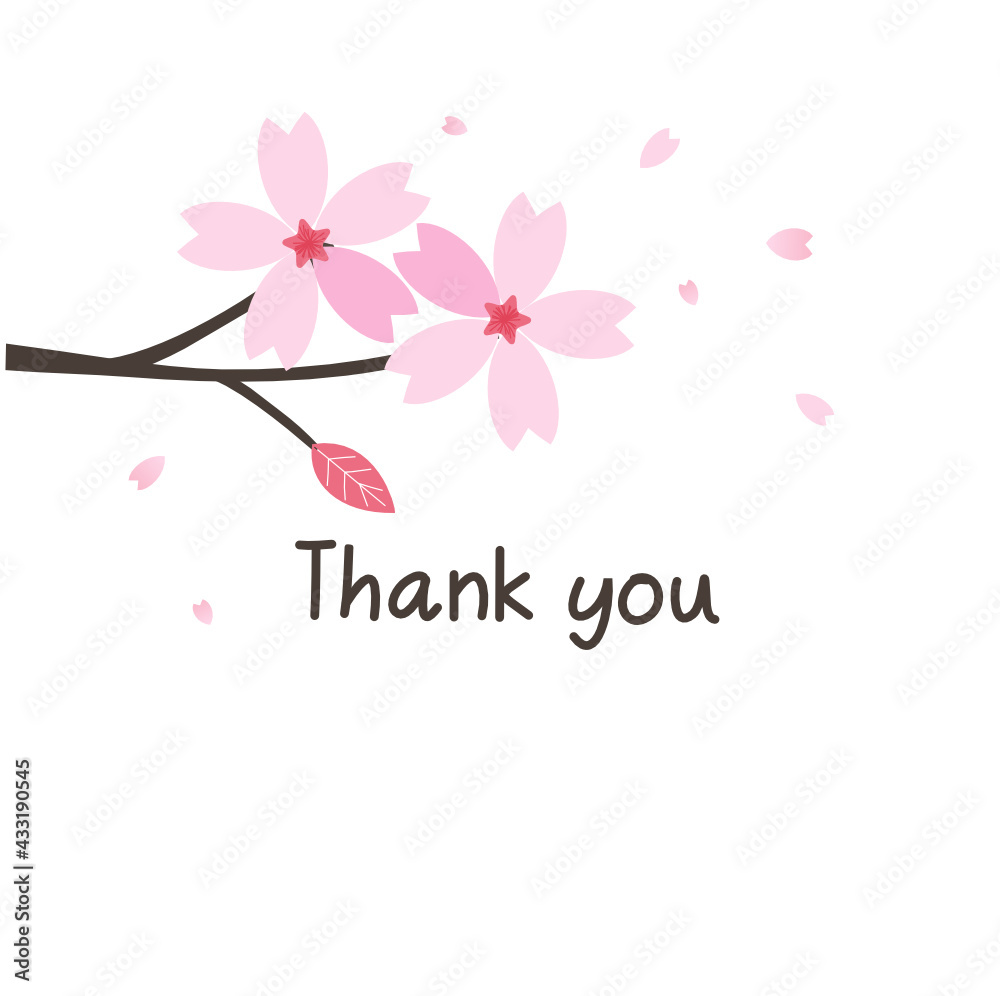 Cherry blossom on white background vector illustration.