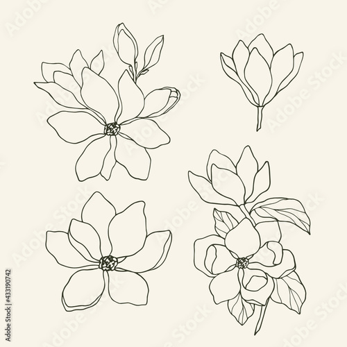 Canvas Print Hand drawn magnolia flowers. Botanical design