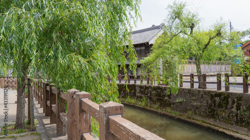 日本の観光名所。千葉県香取市佐原。柳の木と水路の風景。