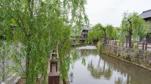 日本の観光名所。千葉県香取市佐原。柳の木と水路の風景。