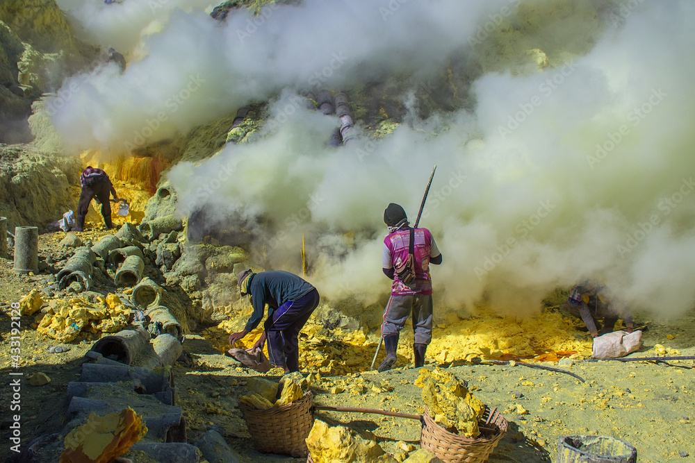 Miner collecting sulfur on Mount Ijen. Sulfur mining industry in the crater of  active volcano in Banyuwangi, East Java, Indonesia. 