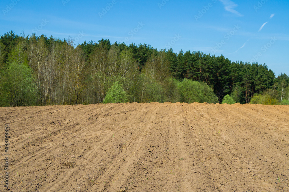Agricultural agro plowed field in spring