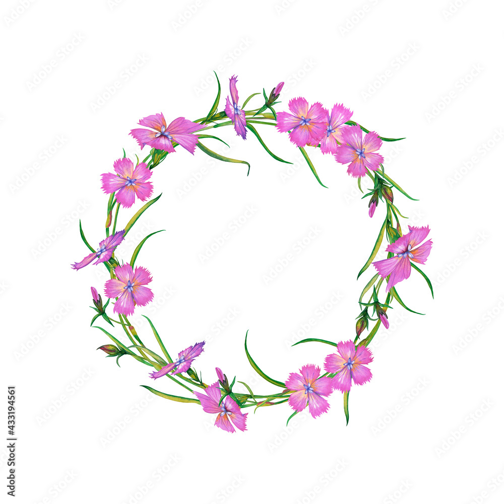 Spring, summer floral wreath of pink carnations with leaves and buds. Delicate meadow wildflowers in round frame. Greeting card design. Watercolor hand painted isolated elements on white background.