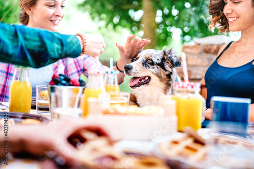 Wall Mural Young women on healthy pic nic breakfast with cute puppy at countryside farm hou