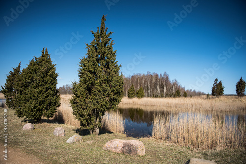 Kanieris lake in sunny spring day  Latvia