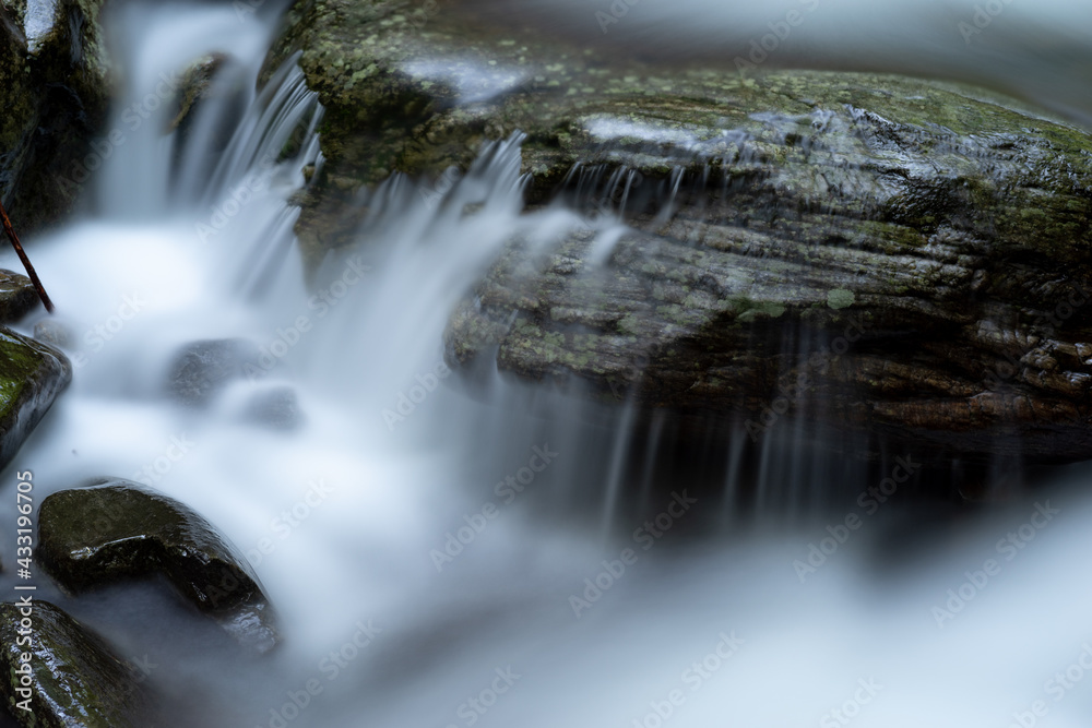 Fototapeta premium 川の流れ