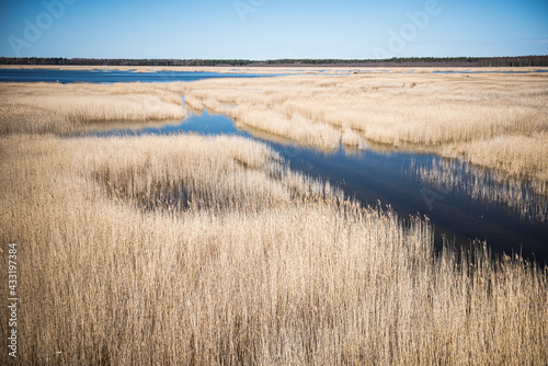 Fototapeta Naklejka Na Ścianę i Meble -  Kanieris lake in sunny spring day, Latvia