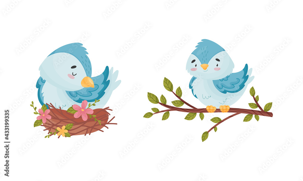 Cute Blue Bird Sitting in the Nest and on Tree Branch Vector Set