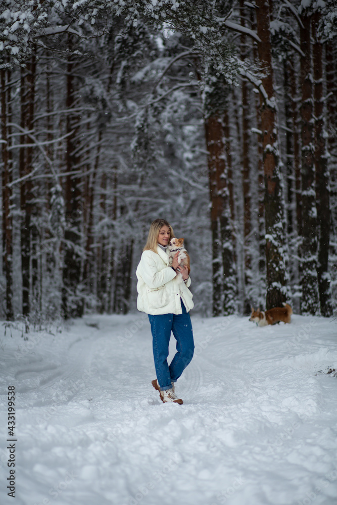 Blonde young female with ginger white chihuahua and welsh corgi pembroke in a snowy forest in winter