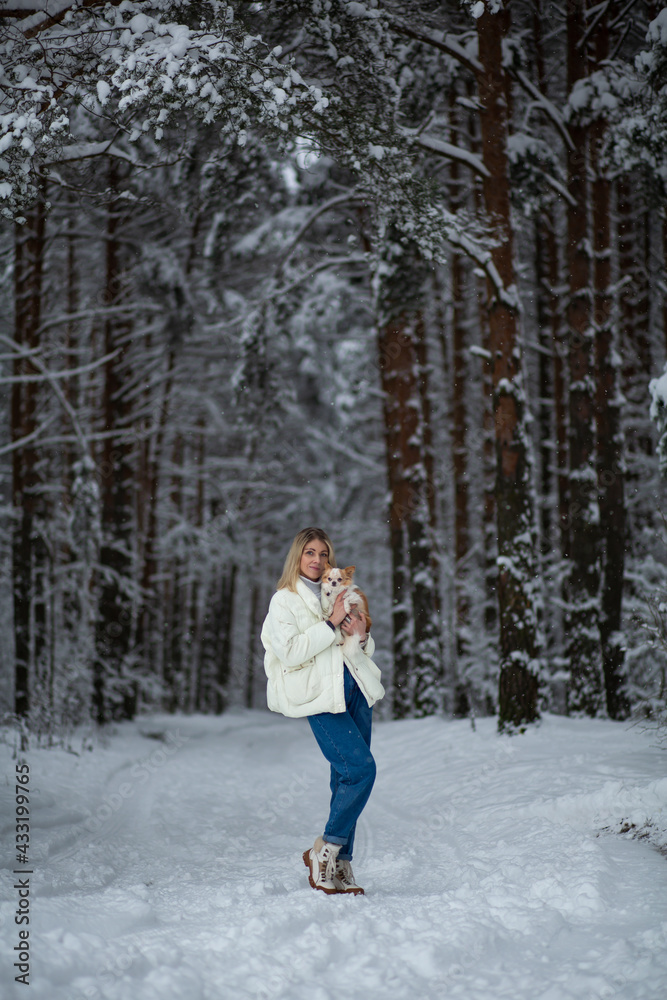 Blonde young female holding ginger white Chihuahua in her hands in a snowy pine forest in winter