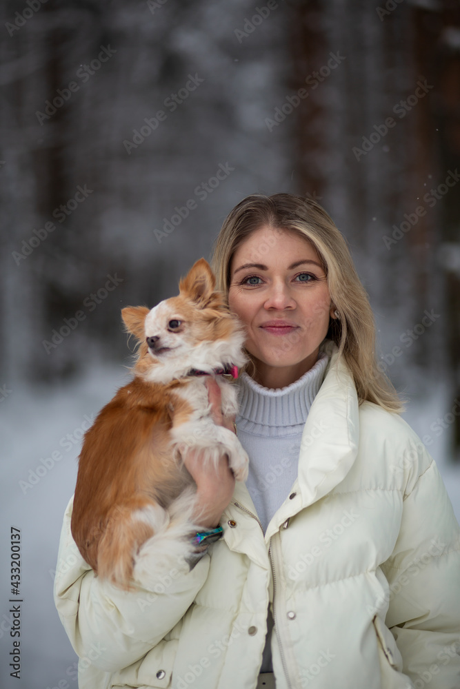 Blonde young female holding ginger and white chihuahua in her hands. Snow and trees on the background Blonde young female holding ginger and white chihuahua in her hands. Snow and trees on the background