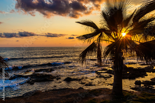 Palm tree on a background of tropical sunset.