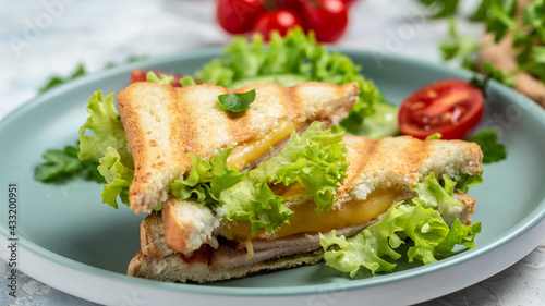 Pressed and toasted double panini with ham, cheese and tomatoes. Food recipe background. Close up