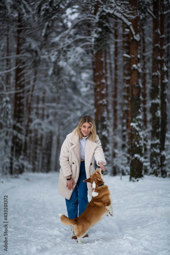 Fototapeta premium Young blonde female is playing with her welsh corgi pembroke in a winter snowy forest
