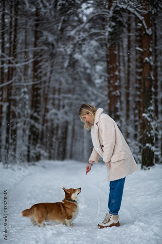 Young blonde female is playing with her welsh corgi pembroke in a winter snowy forest