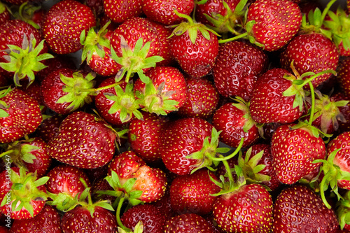 Strawberry red berries background top view