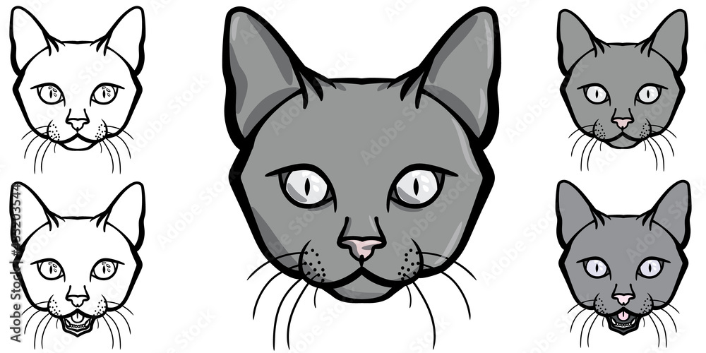 Vector cat portrait, cat illustration