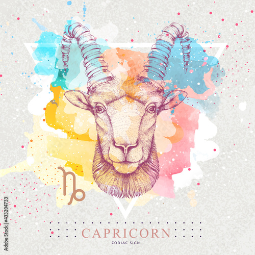 Modern magic witchcraft card with astrology Capricorn zodiac sign on artistic watercolor background. Realistic hand drawing ram or mouflon head.