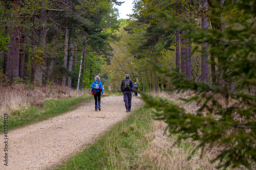A retirement age couple hiking through the new forest on a track