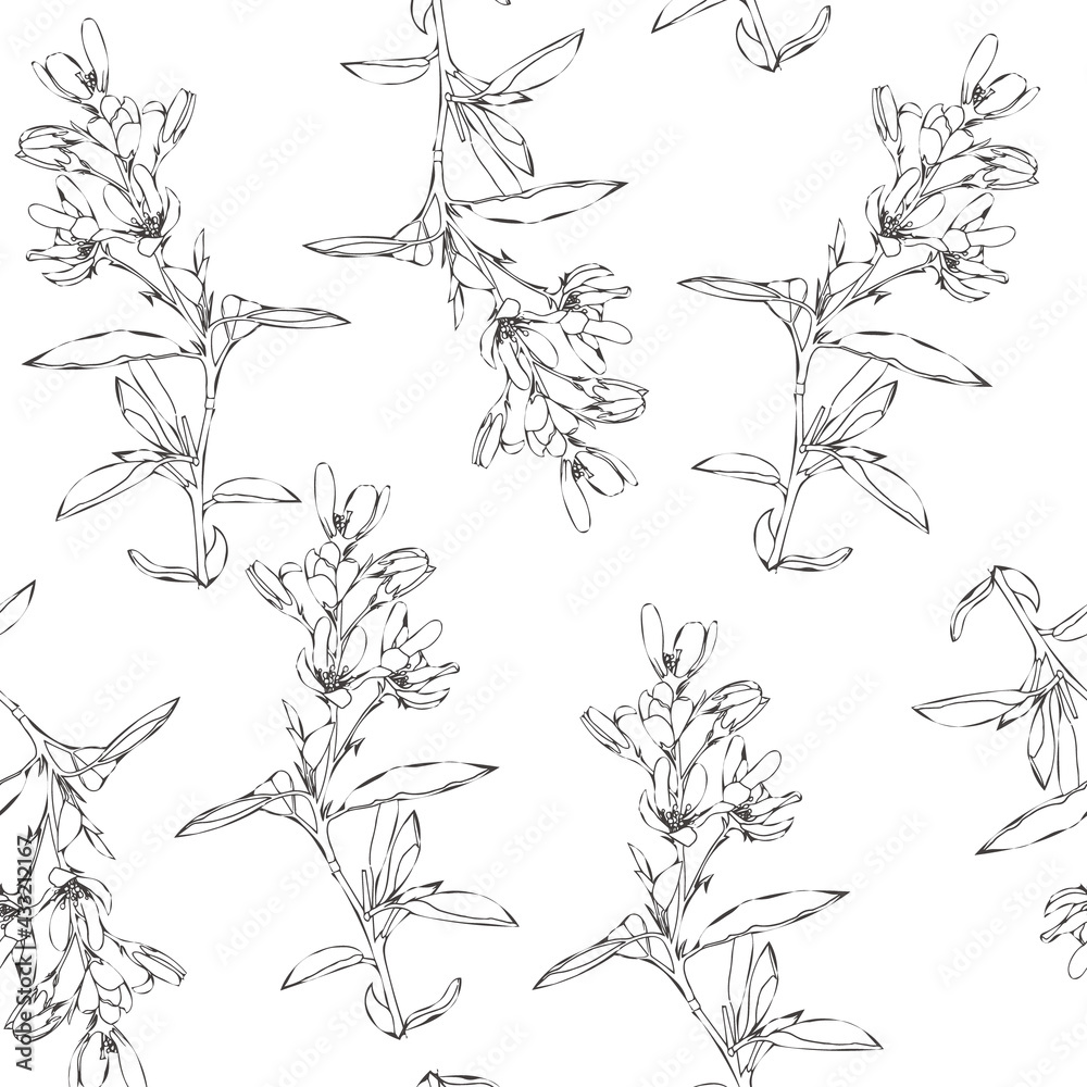 Seamless pattern of spring and summer flowers. Hand drawn wildflowers. Line art. The theme of ecology and conservation. For paper, cover, fabric, gift wrap. Vector illustration Seamless pattern of spring and summer flowers. Hand drawn wildflowers. Line art. The theme of ecology and conservation. For paper, cover, fabric, gift wrap. Vector illustration