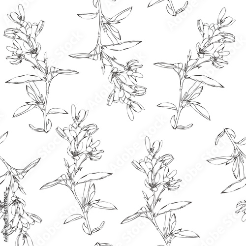 Seamless pattern of spring and summer flowers. Hand drawn wildflowers. Line art. The theme of ecology and conservation. For paper, cover, fabric, gift wrap. Vector illustration