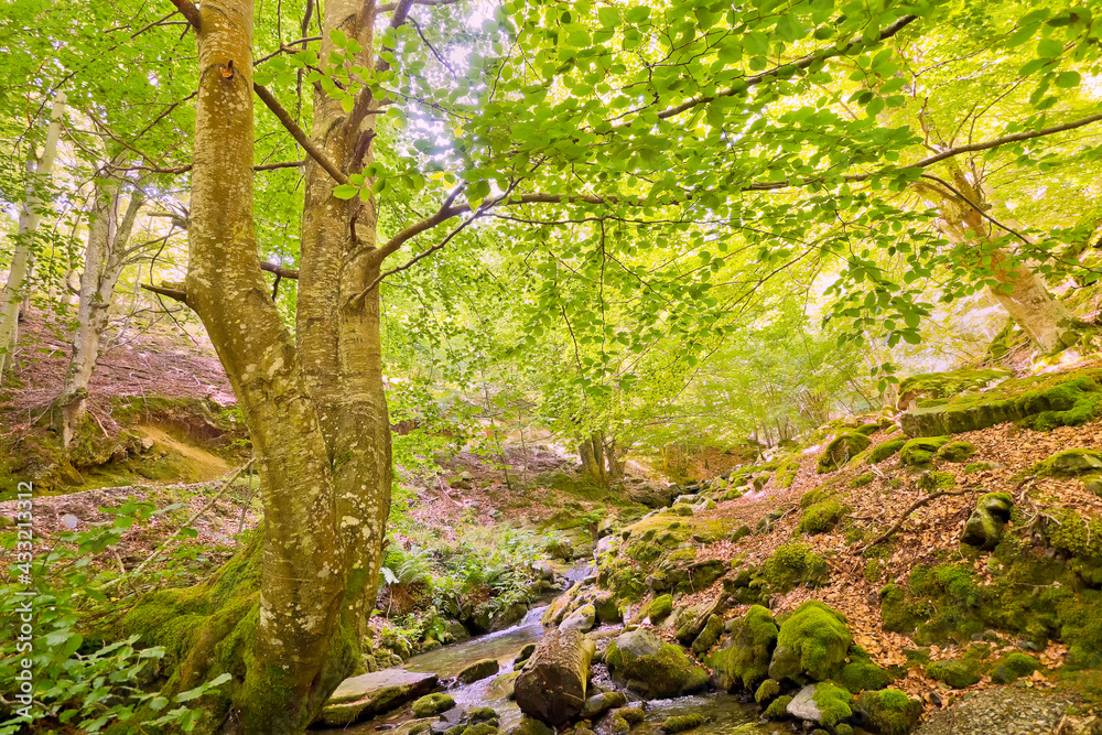 Sierra de la Demanda Protected Area, Sistema Iberico La Rioja, Spain, Europe Sierra de la Demanda Protected Area, Sistema Iberico La Rioja, Spain, Europe