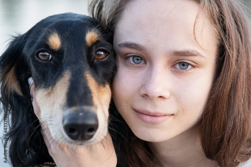 attractive young woman holding saluki dogs face. close up portrait. attractive young woman holding saluki dogs face. close up portrait.