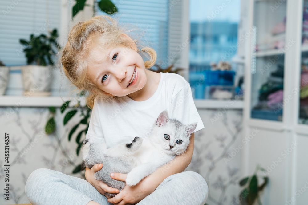 child playing with little cat. A little girl holds a white kitten. A little girl snuggles up to a cute pet and smiles while sitting in the living room of the house. Happy Children and pets. child playing with little cat. A little girl holds a white kitten. A little girl snuggles up to a cute pet and smiles while sitting in the living room of the house. Happy Children and pets.