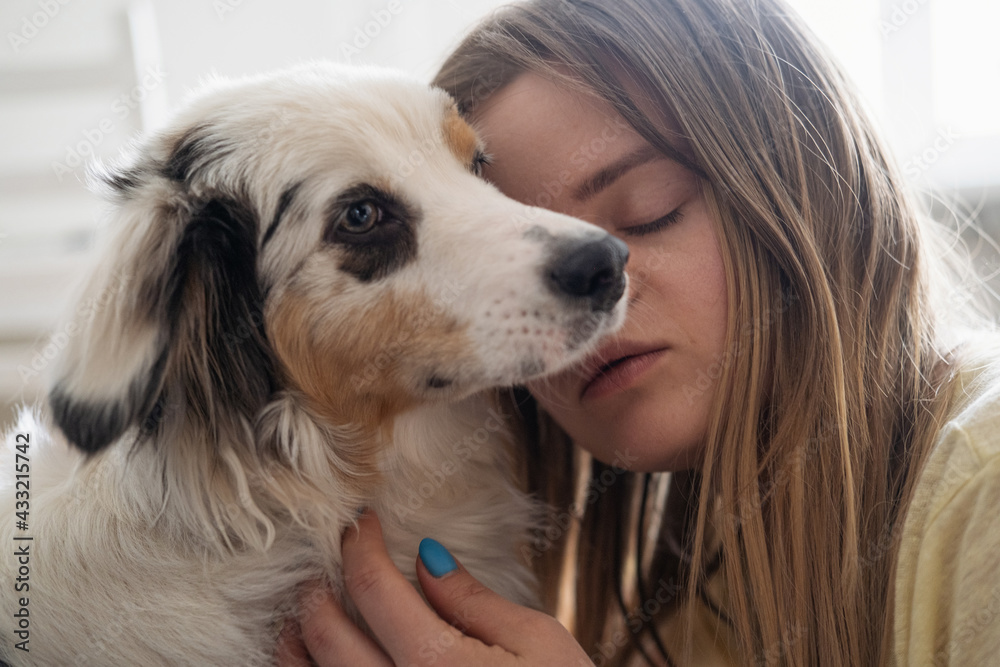 Attractive woman embrace blue merle Australian shepherd dog Attractive woman embrace blue merle Australian shepherd dog
