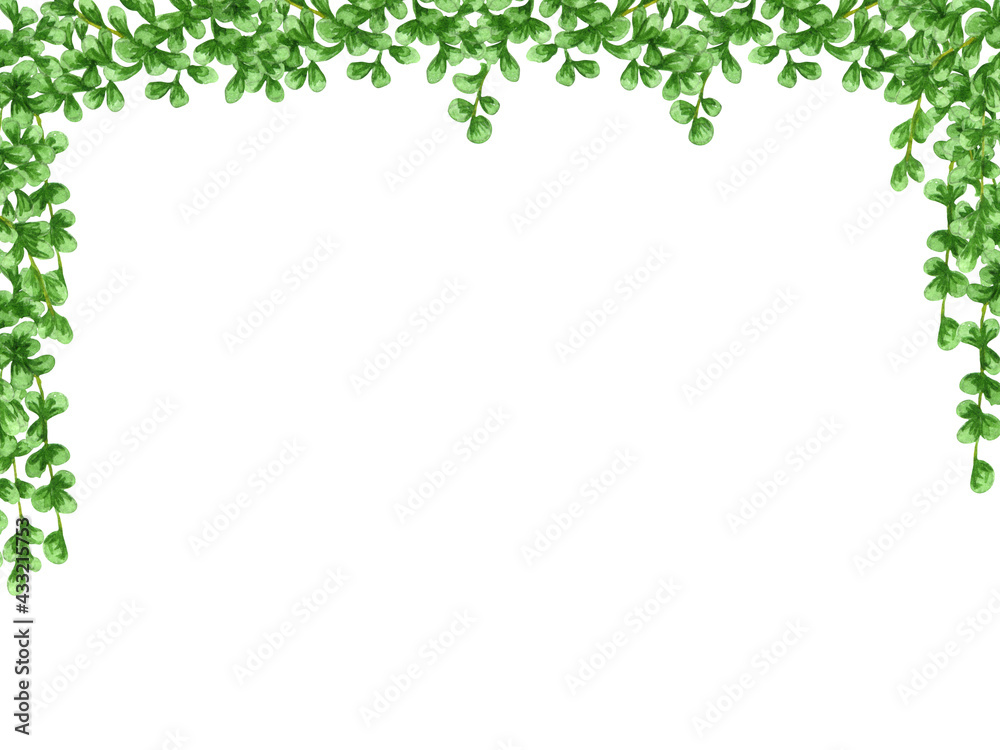 Houseplant leaves frame. Plant with hanging branches isolated on white background,. Watecolor Floral border