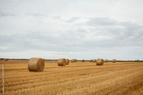 Goldgelbe Strohballen auf dem Feld
