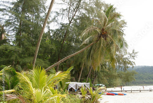  People sunbathe and swim at the beach paradise of coconut island photo