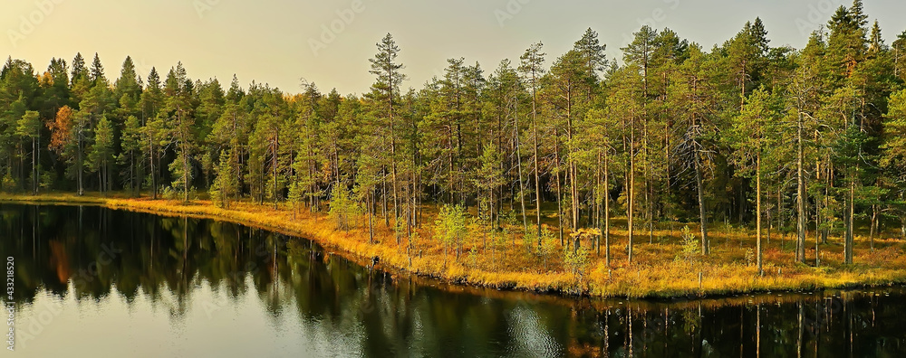 Plakat river autumn view from drone forest, landscape panorama aerial view