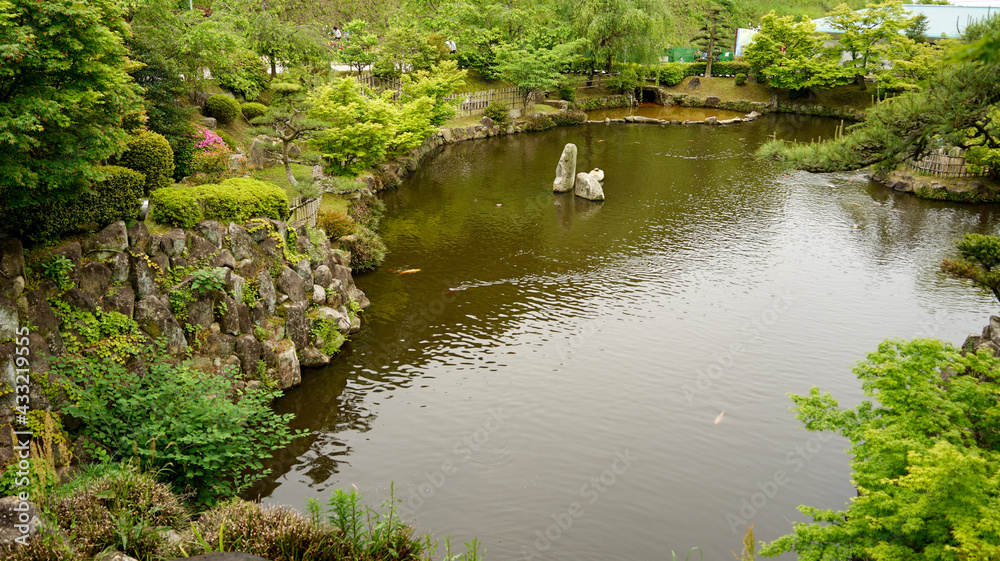 pond in the park