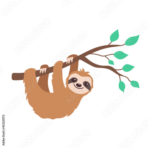 A cute smiling sloth hangs on a branch of a tree with leaves. Vector color illustration is isolated on a white background in flat style.