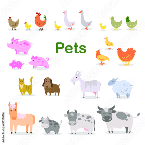 Fototapeta Naklejka Na Ścianę i Meble -  Collection of pets Agricultural set: chicken rooster duck goose turkey calf cow bull piglet goat sheep cat dog horse Vector stock illustration White isolated background Cute stylized baby animals
