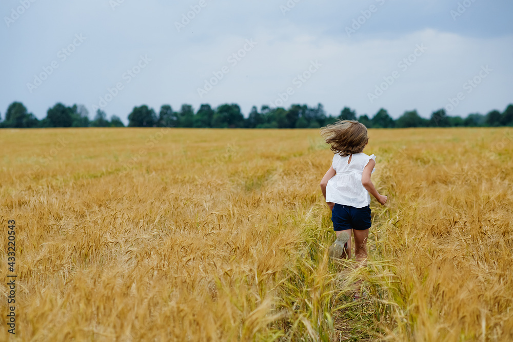 A little girl in a white T-shirt and shorts runs through a wheat field against a cloudy sky. Summer rural landscape. A little girl in a white T-shirt and shorts runs through a wheat field against a cloudy sky. Summer rural landscape.